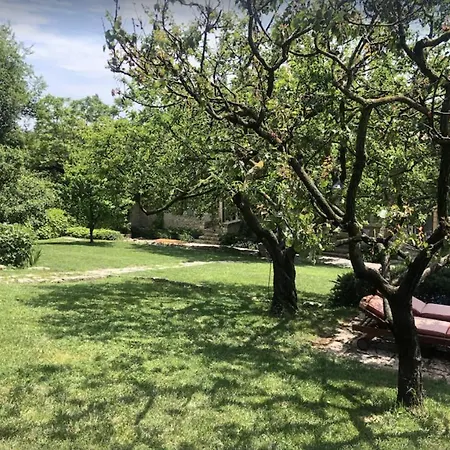 Ca' Del Buso * ורונה