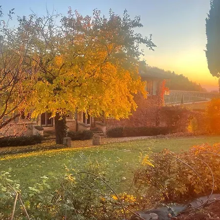 Ca' Del Buso דירה *