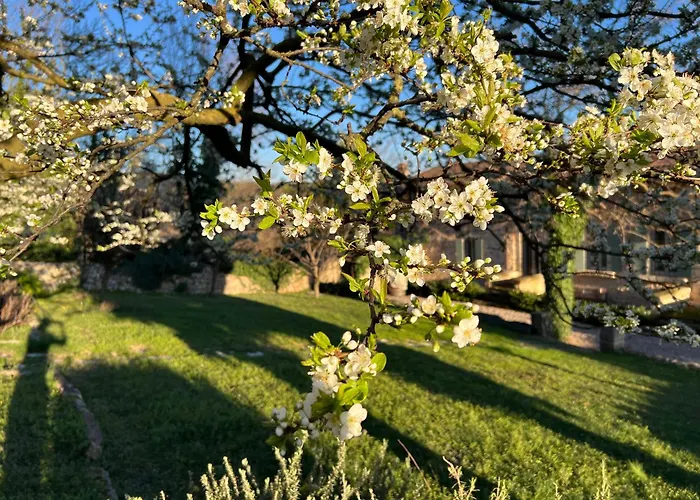 Lägenhet Ca' Del Buso Verona
